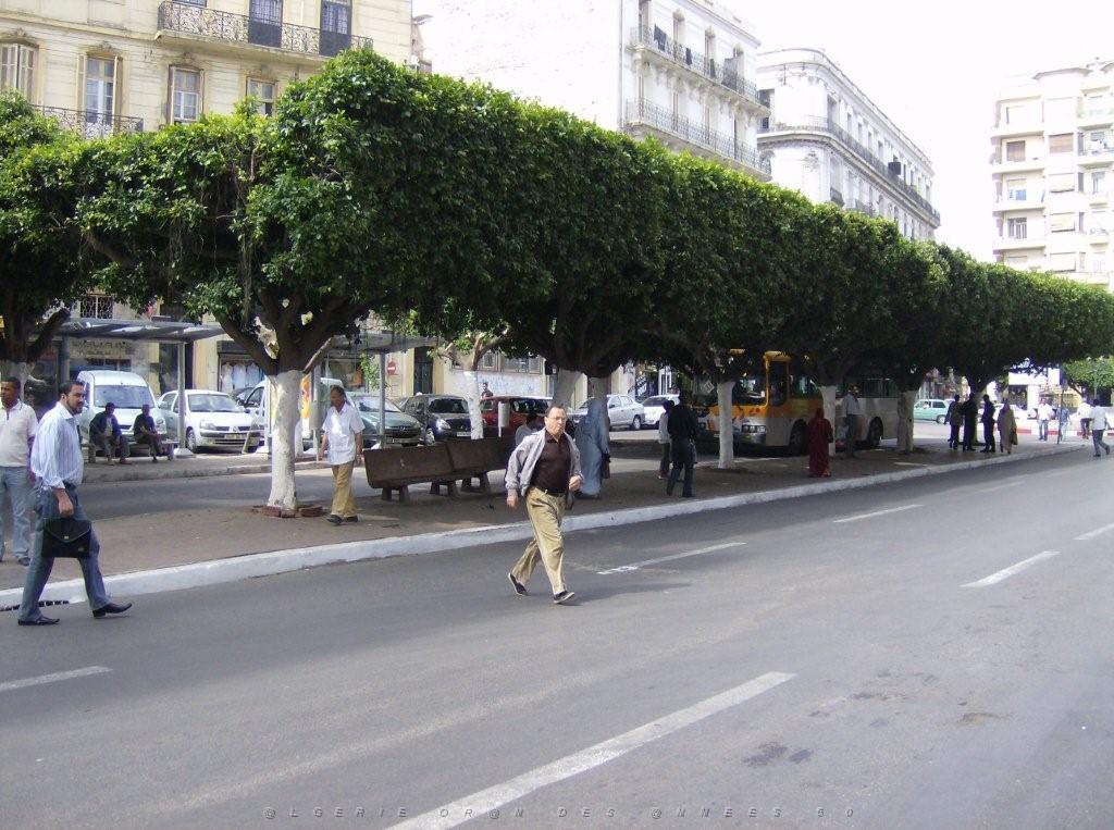 ORAN JUIN 2007 LE CENTRE VILLE.jpg